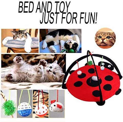 מרכז פעילות אוהל החתולים עם כדורי צעצועים לחתולים, מיט מיטה לחתול מיטה חתולים ציוד חיות מחמד - עוזר לחתולים