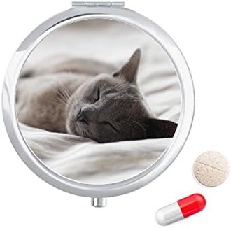 בעלי החיים חמוד אפור חתול צילום לירות גלולת מקרה כיס רפואת אחסון תיבת מיכל מתקן