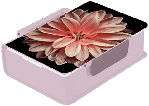 Alaza Pink Chrysanthemum Daisy פרח שחור בנטו קופסת ארוחת צהריים BPA ללא דליפה מכולות ארוחת צהריים עם