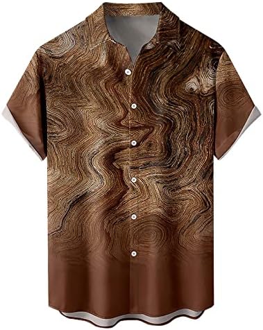 חולצות שמלת גברים קיץ 2023 3D ציור הדפס חולצה פרחונית גברים נשים פניות צווארון וינטג 'לבוש רחוב T