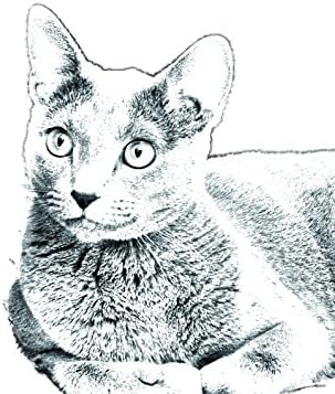 ארט דוג, מ.מ. מצבה כחולה רוסית, אובלית מאריחי קרמיקה עם תמונה של חתול