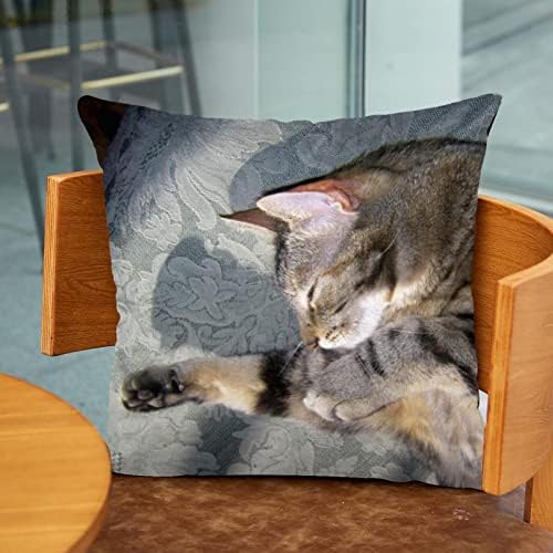 חבילת טבובט של 2 כיסויי כריות קטיפה, מארז כרית כרית מרובע למיטת ספה, חיה חתול ישן
