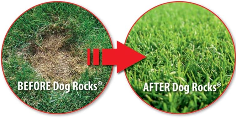 כלב סלעים-למנוע דשא לשרוף כתמים על ידי שתן לחיות מחמד, לחסוך שלך דשא צהוב סימנים, 3 שקיות של 200 גרם כל