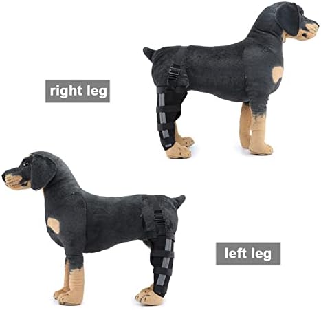 כלב רגל פלטה עבור חזרה רגל, כלב רגל סד משותף לעטוף עם מתכת רצועות ורצועה רעיוני, מתכוונן הברך סד