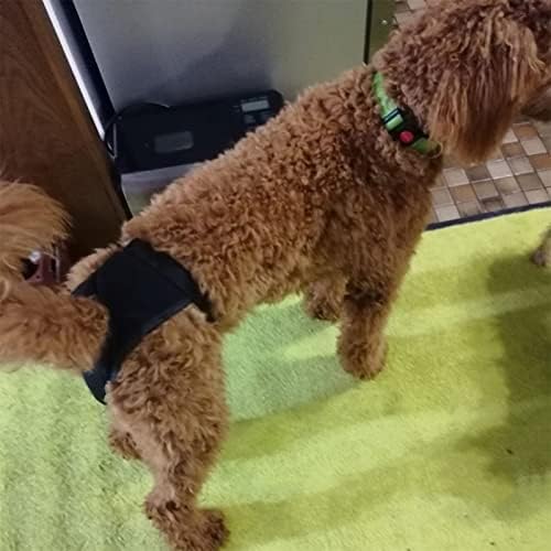 אודרדה 2022 מכנסיים פיזיולוגיים רשת לכלבים עם 3 רפידות כותנה