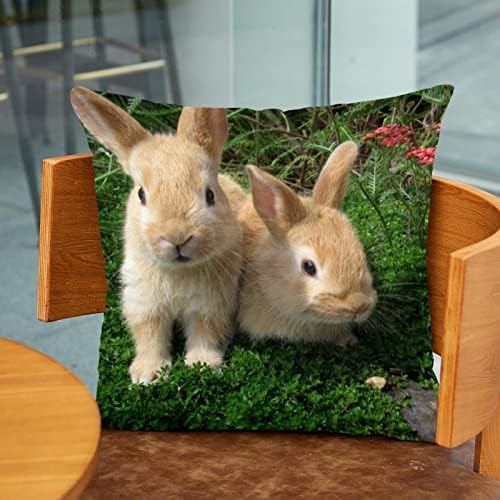 חבילת טבובט של 2 כיסויי כריות קטיפה, מארז כרית כרית מרובעת למיטת ספה, שני ארנבים בגינה