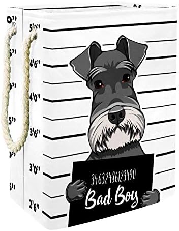 כלב שנאוצר כלא ילד רע משטרת תמונה בודד כביסת בגדי סל גדול סל