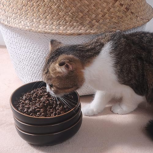 קערות חתול קרמיקה, קערת חיות מחמד כלים לחתול למזון ומים, 5.3 בקערת אוכל של גורים 3 סט קערת אוכל חתולים, גימור
