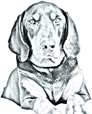 שחור ושזוף, מצבה אובלית מאריחי קרמיקה עם תמונה של כלב