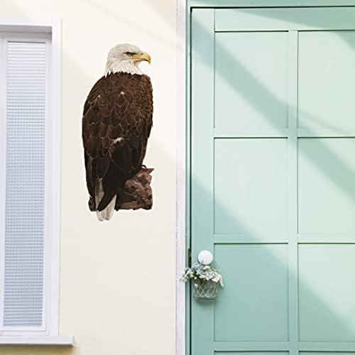 Rofarso Lifele Lifely Kaber Eagle America America מדבקות קיר ציפור מדבקות קיר נשלפות קילוף וקישוט קיר