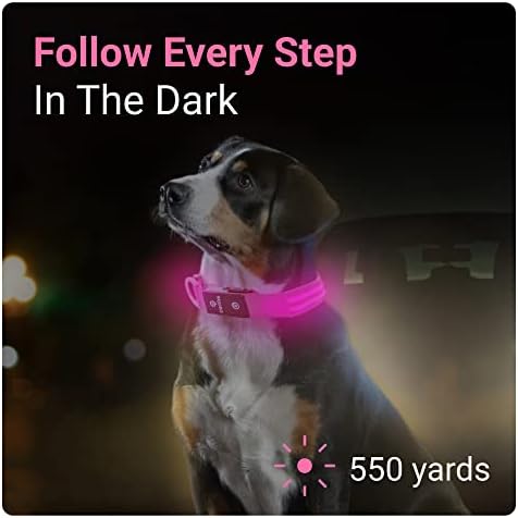 Tractive GPS Tracker עם LED Light Up Collar Dog - Attine