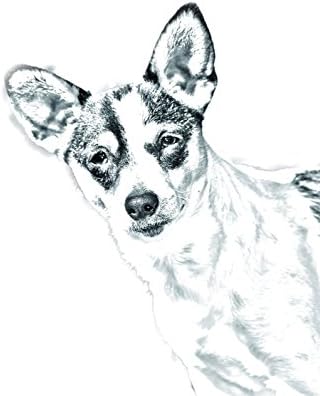 עכברוש טרייר, מצבה סגלגלה מאריחי קרמיקה עם תמונה של כלב