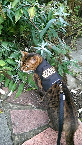 מינווד חתול מעיל / לרתום מלחמת כוכבים חתלתול עד 8 חודש