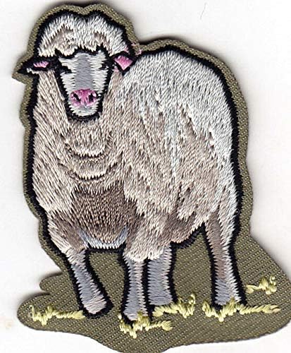 ברזל כבשים על חיה של חוות טלאים