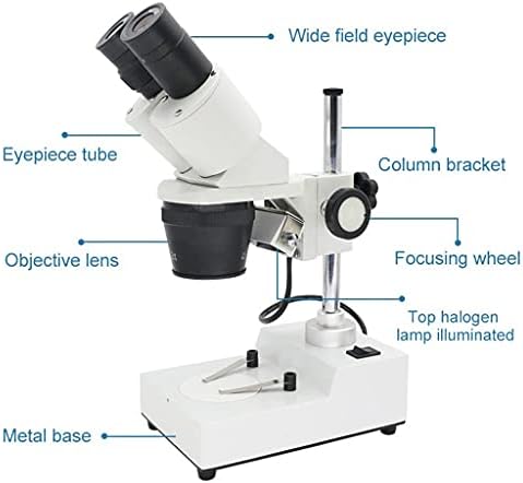 מיקרוסקופ סטריאו משקפת דולט מיקרוסקופ סטריאו תעשייתי למעלה הוביל תאורה כלי תיקון הלחמה מעגלים מודפסים טלפון