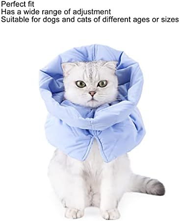 צווארוני חתולים אליזבתניים צווארונים להתאוששות חתולים רכים לצווארוני ריפוי פצעי חתלתול לחיות מחמד
