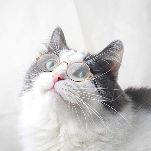 10 חתיכות חתול כלב משקפי שמש מצחיק חיות מחמד משקפיים עגול מתכת חתול קלאסי רטרו משקפי שמש לחיות מחמד היפי