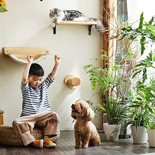 פוקומארו חתול קיר ריהוט, כולל חתול פעילות עץ עם מגרד הודעות, צף קיר מדף עם חתול מגרד מחצלת, חתול ערסל, חתול קיר