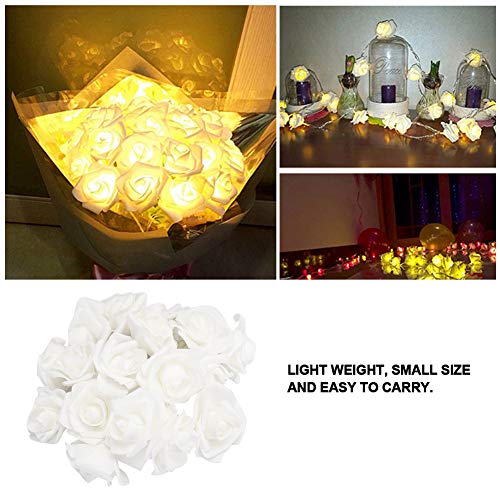 Natudeco 3 מטר 20 פיות LED רוז פרחים אורות מיתרים אורות מיתרים קישוט