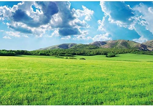 אורג ' ו 10 * 8 רגל ירוק אחו צילום רקע טבעי נוף אביב ירוק דשא לנד הרים כחול שמיים לבן עננים חוות