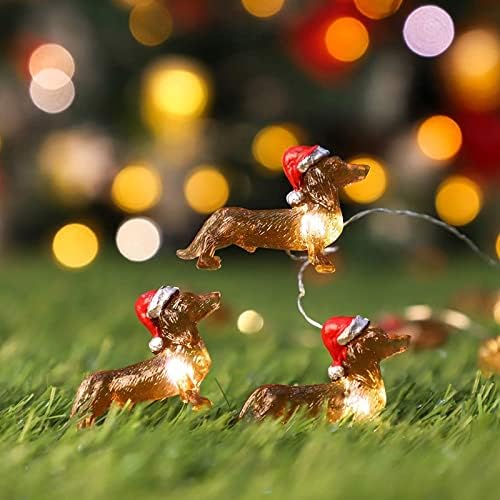 אורות חג מולד בכדור לאורות מיתרי גורים חיצוניים LED סוללת LED מופעלת ואורות פיות מופעלים קישוט נושא