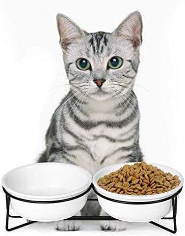 כפול קרמיקה העלה חתול או קטן כלב קערות עם מעמד מתכת עבור חיות מחמד מזון ומים מנות ,12 אונקיות
