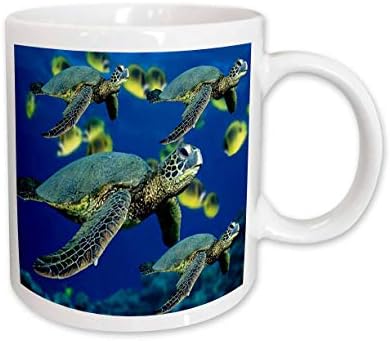 3 רוז צבי ים קרמיקה ספל, 11-אונקיה