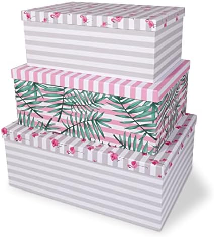 SLPR קרטון דקורטיבי קופסאות אחסון יפות עם מכסים לעיצוב ביתי - סט של 3: קופסאות מתנה קינון קנון פינק של