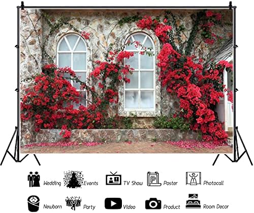 10 על 8 רגל רומנטי אדום פריחת רקע איטליה סגנון חלונות בית אבן קיר ירוק גפן צילום רקע זוגות אישה חתונה טקס
