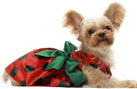 חם מנוקדת כלב חג המולד שמלה, חג כלב בגדים לכלבים קטנים ילדה, חיות מחמד חתול תלבושת, קל משקל קטיפה, בורדו אדום,