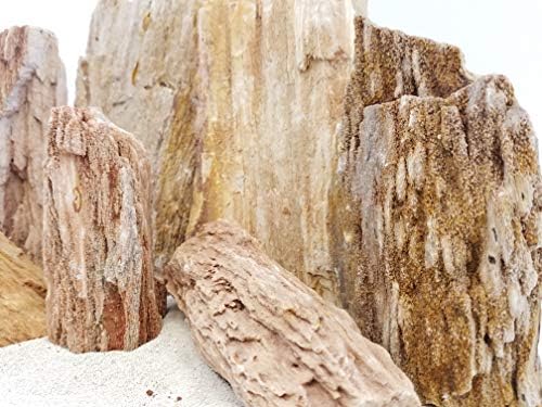 ערכת גודל מיקס אבן מאובן בורמה-דקורטיבי אקווריום סלעים, טנקי דגים-10 ק ג