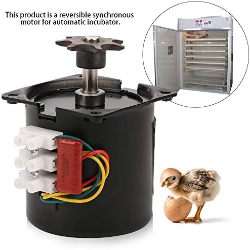 מיני ביצת חממת טמפרטורת אוטומטי דיגיטלי ביצי עופות האצ ' כלי עבור ברווז ציפור עוף ביצה