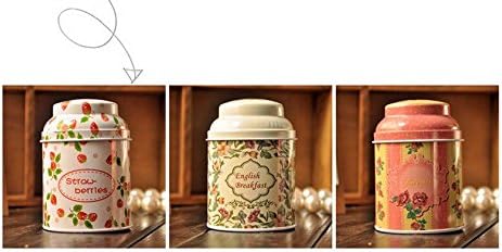 אנקוס 100 יחידות פח תיבת תה תיבת קפה פח אחסון תיבת ברזל מקרה אחסון מיכל בציר סגנון פרח סדרת תה תיבה