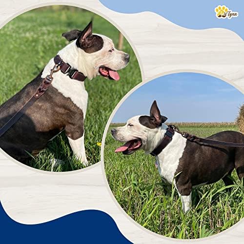 Adityna Clowed Leathed Dog Leash 5.6 ft - רצועות כלבים מעור אימוני עור כבדים לכלבים קטנים, בינוניים, גדולים וגדולים