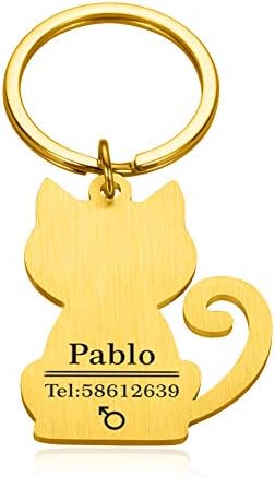 LONAGO מותאם אישית תגי חתול כלבים עבור רצועה צווארון חרוט צדדים כפולים מחזיק מפתח שם חיית מחמד