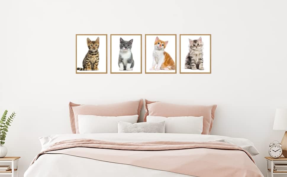 פוסטרים לחתלתולים לחתלת לחתול קיר קיר חמוד קיר אמנות פוסטר חתול - סט של 4 כרזות חתול פוסטר לחתלתול