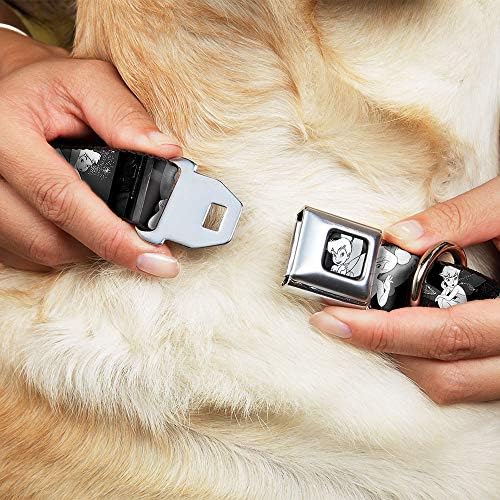 צווארון כלב אבזם חגורת בטיחות טינקר פעמון סצינות שחור לבן 15 עד 26 אינץ 'רוחב 1.0 אינץ'