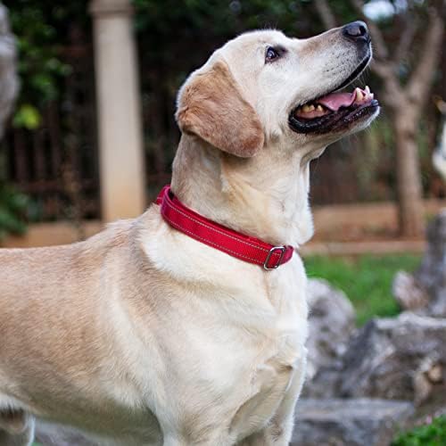 Hsigio Nylon Martiningale צווארון כלבים, מתכוונן משקף חובה כבד, צווארונים מחמד מחמד עם רצועה לכלבים קטנים