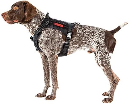 רתמת כלבים טקטית עם צווארוני כלבים קשוחים, צווארוני K9 צבאיים לכלבים גדולים בינוניים