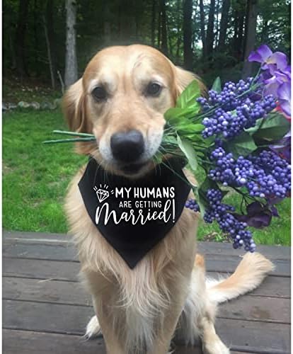 מתנת אירוסין, בני האדם שלי מתחתנים צווארון בנדנה של כלבים, אבזרי צילום לחתונה, צעיף לחיות מחמד, הכרזת מעורבות