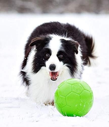 חיות מחמד עליזות כדור כדורגל גדול צעצוע כלב מקפץ צף, קוטר 8 אינץ', ירוק תפוח