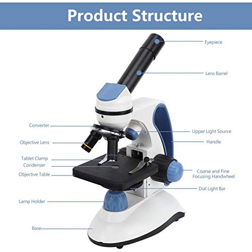 מיקרוסקופ, עינית זווית רחבה פי 25 3 סוגים של מיקרוסקופ סטודנטים לעדשה אובייקטיבית, מדויק ומהיר)