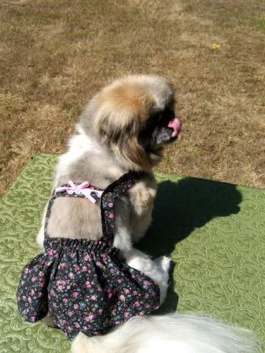 Joybies חצאית Piddle פרחונית לכלב נקבה קטן בגודל 13 - 15 מצווארון לבסיס הזנב