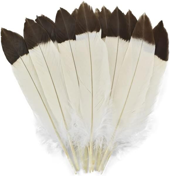 10 יח ' חבילה טבעי נשר ציפור נוצות עבור מלאכות 40-45 סמ / 16-18 אינץ לבן שחור ארוך עשה זאת בעצמך