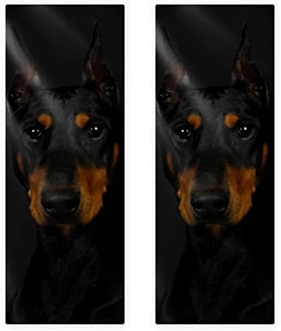 Woshjiuk 2 חבילה מגבות כושר מיקרופייבר, כלב רוטווילר, מגבת מגבת מגבת סופר סופגת למגבות זיעה של צוואר