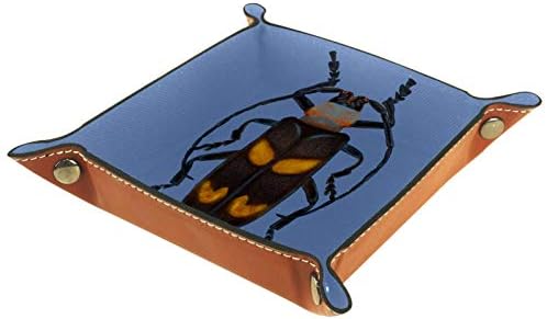 תיבת אחסון חרקים של Lyetny מחזיק סאנדרס מגש מארגן אחסון שולחן עבודה נוח לנסיעות, 16x16 סמ
