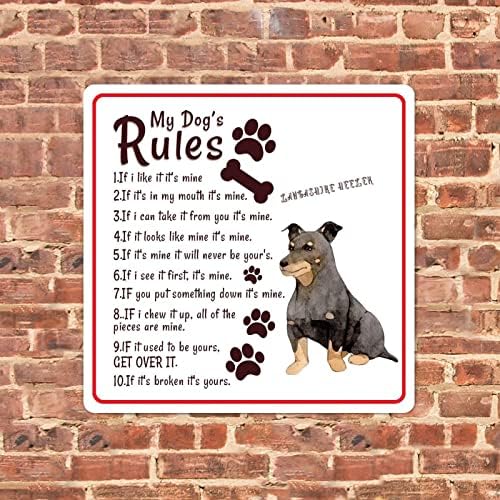 שלי כלב של כללים מצחיק מתכת כלב סימן שלט כלב סימן מבורך עתיק מתכת פוסטר בציר לחיות מחמד כלב קיר אמנות
