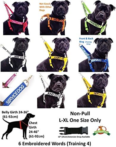 כלב שירות דקסיל קולרים ידידותיים לכלבים מקודדים בצבע רצועת מניעת תאונות כלבים 6 רגל / 1.8 מ ' מונעת תאונות כלבים
