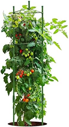 כלובי עגבניות Growsun לגן עד 63 אינץ 'עגבניות גדולות כלוב צמחי צמחים למסירת תמיכה, 6 חבילות עם קשרים צמחיים,
