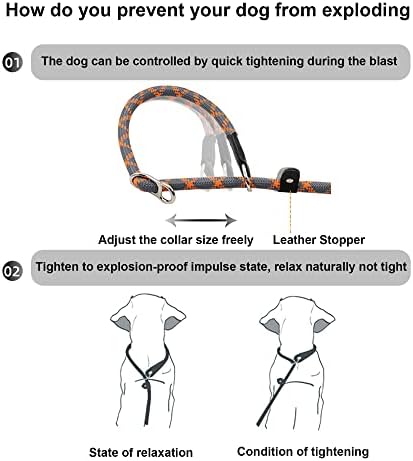 Baobote 6 ft Slip Lead Lead רצועת כלבים, אנטי-חניקה עם תנועה מרופדת שתי ידיות, רצועת חבל טיפוס